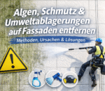 Algen von Fassade entfernen – Methoden & Fassadenreinigung München